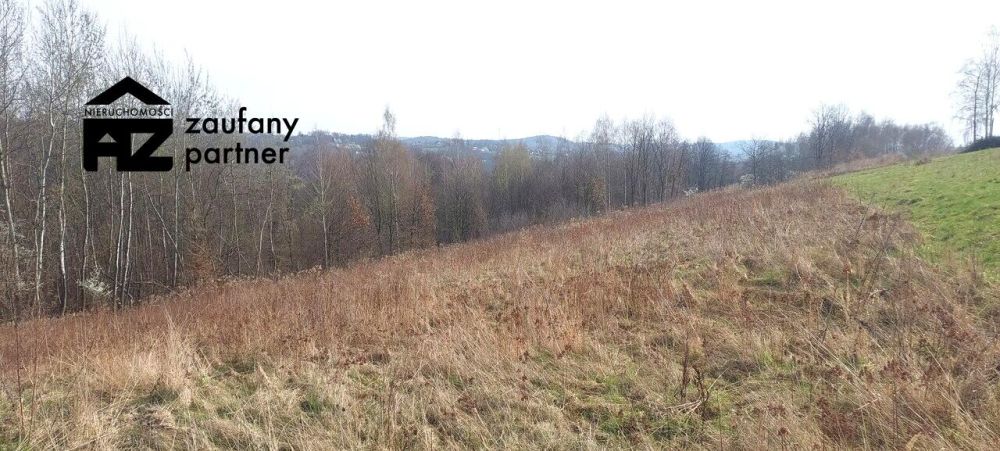 Działka budowlana koło lasu