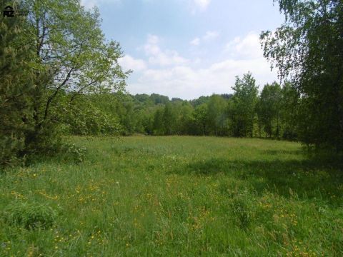działka wśród zieleni i&nbsp;lasów - 3