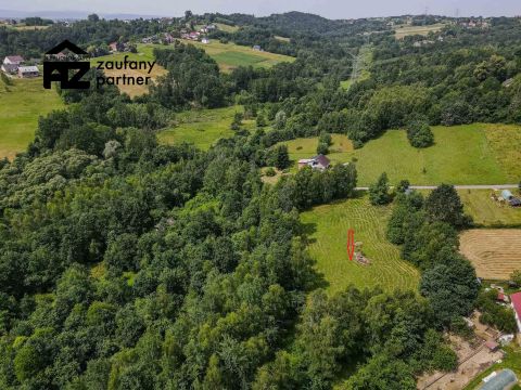 działka wśród zieleni i&nbsp;lasów - 12