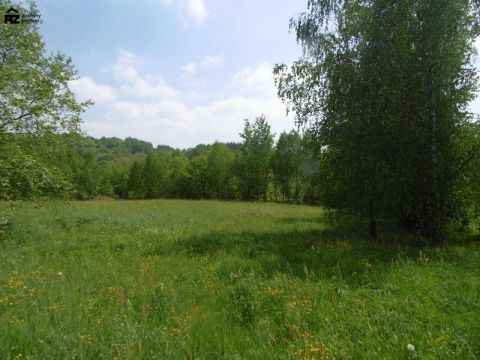 działka wśród zieleni i&nbsp;lasów - 10