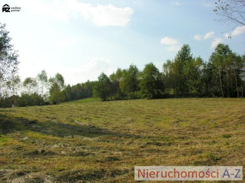 działka wśród zieleni i&nbsp;lasów - 9