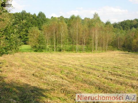 działka wśród zieleni i&nbsp;lasów - 8
