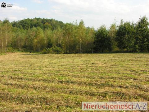 działka wśród zieleni i&nbsp;lasów - 7
