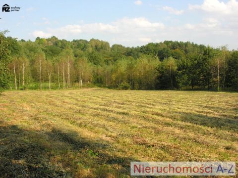 działka wśród zieleni i&nbsp;lasów - 6