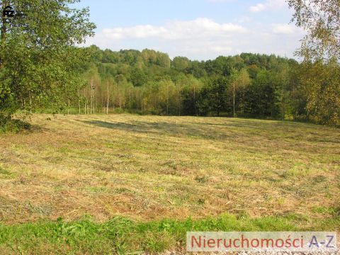 działka wśród zieleni i&nbsp;lasów - 5