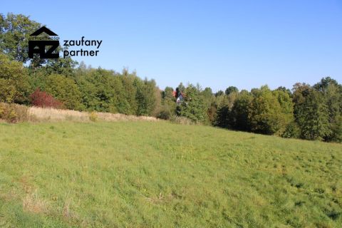 Działka budowlano rolna blisko Krakowa - 2
